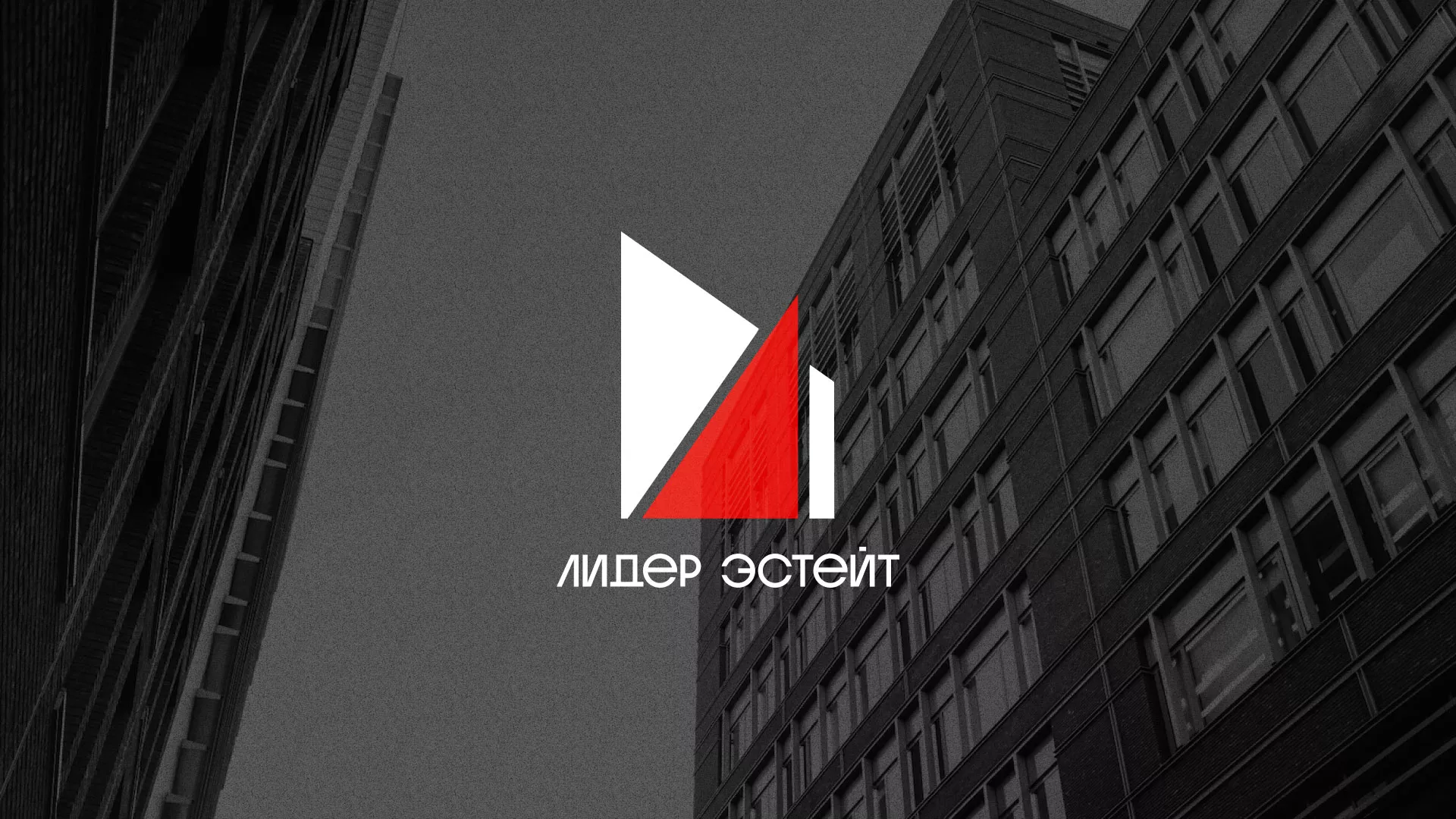 Сделали логотип для агентства недвижимости «Лидер Эстейт» в Теберде